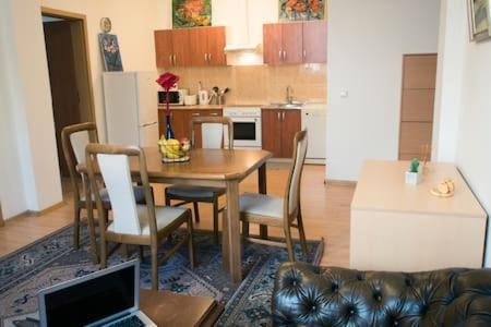 Town Hall 3 Bedroom Apartment Vilnius Luaran gambar