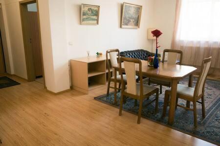 Town Hall 3 Bedroom Apartment Vilnius Luaran gambar